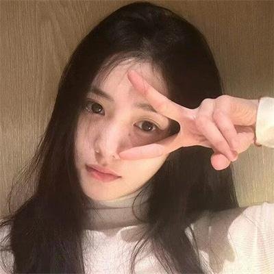 红色康乃馨